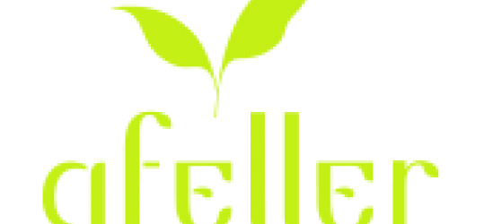 gfeller logo